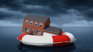 partners in risk